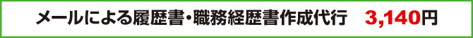 メールによる履歴書・職務経歴書作成代行 3,140円 メールによる履歴書・職務経歴書作成代行 3,140円